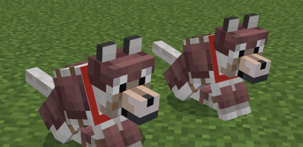 How to get the wolf armor in Minecraft